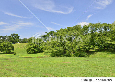 【大阪府　藤井寺市】世界遺産・古市古墳群（古室山古墳） 55460769
