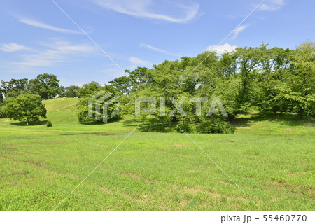 【大阪府　藤井寺市】世界遺産・古市古墳群（古室山古墳） 55460770