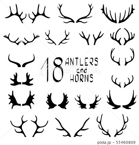 Set of 18 deer antlers and horns isolated on white Set of 18 deer antlers and horns isolated on white 55460809
