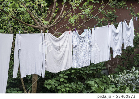 hanged clothes at garden 55460873