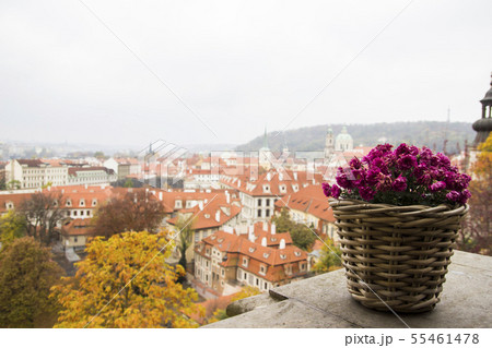 Red roof of buildings in Prague Red roof of buildings in Prague 55461478