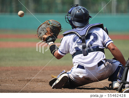 キャッチャー 55462428