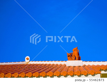 シーサー 55462873