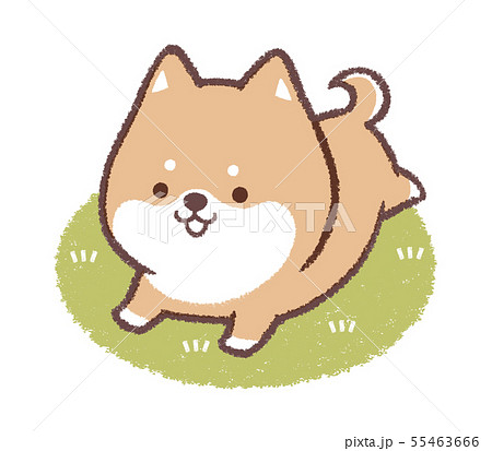 Dog Run Lawn Small Stock Illustration