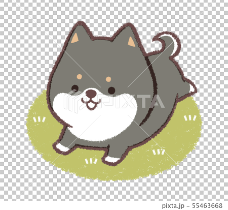 ドッグラン黒柴芝生 小のイラスト素材 ドッグラン黒柴芝生 小のイラスト素材