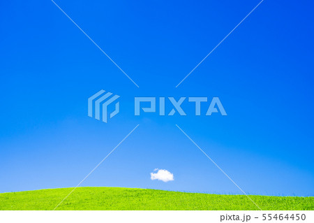 青空と緑の丘 55464450