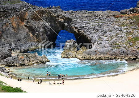 小笠原諸島 55464526