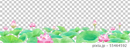 蓮花池塘的全景水彩例證 55464592