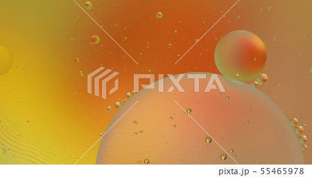 Fantastic structure of colorful bubbles. Abstract multicolored background. Macro Fantastic structure of colorful bubbles. Abstract multicolored background. Macro 55465978