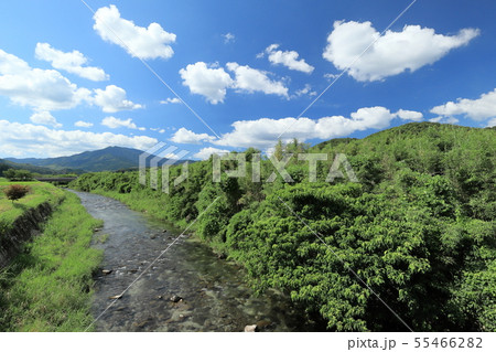 紫尾山 紫尾山 55466282