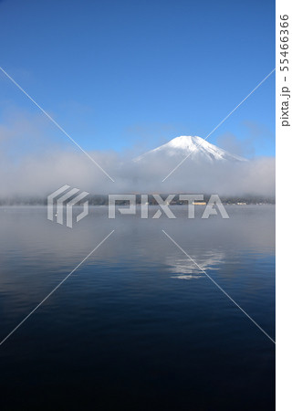 富士山、早朝、山中湖 55466366