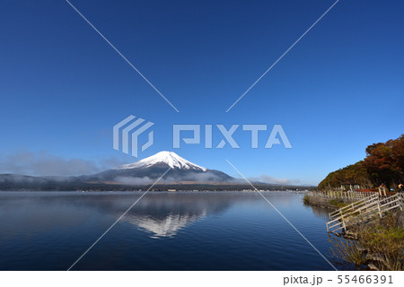 富士山、早朝、山中湖 55466391