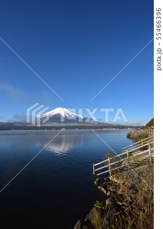 富士山、早朝、山中湖 55466396