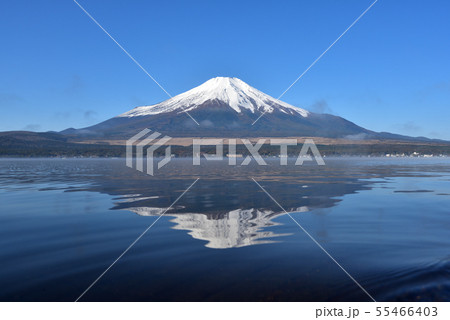 富士山、早朝、山中湖 55466403