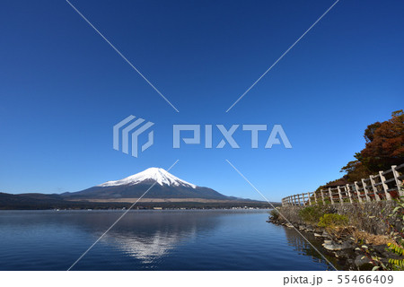 富士山、早朝、山中湖 55466409