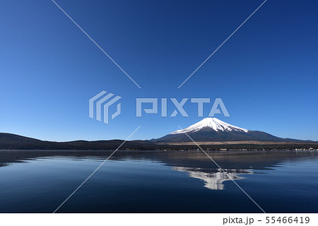 富士山、早朝、山中湖 55466419