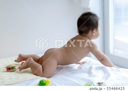 ハイハイする6ヵ月の赤ちゃん ハイハイする6ヵ月の赤ちゃん 55466425