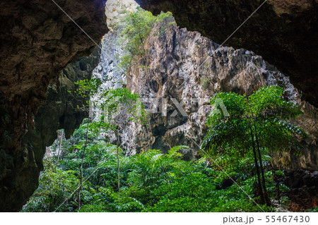 Vegetation and nature in Phraya Nakhon Cave 55467430
