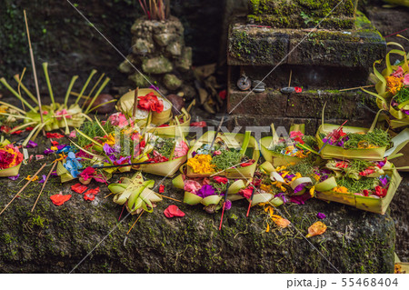 Daily offerings - canang sari is very important in Bali, Indonesia Daily offerings - canang sari is very important in Bali, Indonesia 55468404