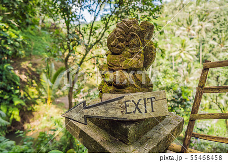 Balinese statue and exit sign against the backdrop of nature 55468458
