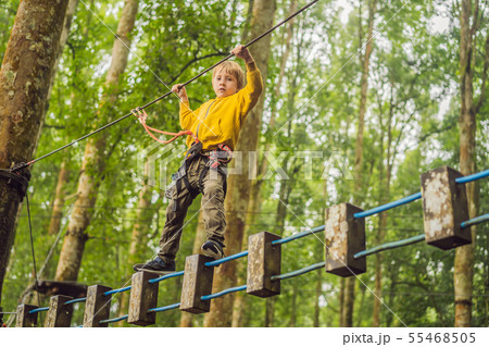 Little boy in a rope park. Active physical recreation of the child in the fresh air in the park 55468505