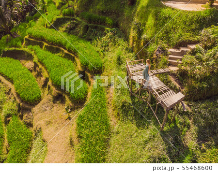 Rice Terrace Aerial Shot. Image of beautiful terrace rice field 55468600