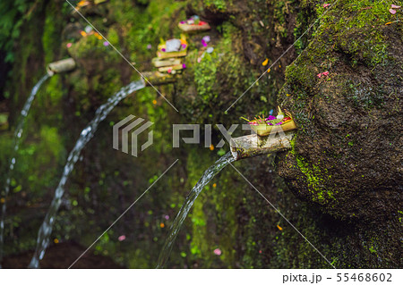 Daily offerings - canang sari is very important in Bali, Indonesia 55468602