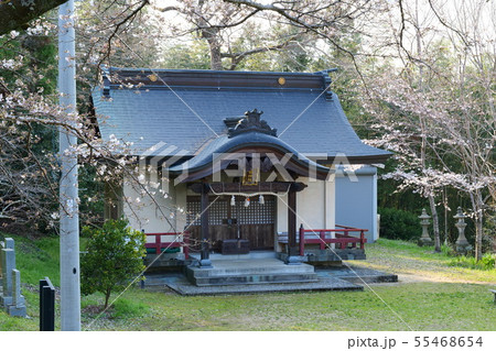 山崎忌部神社 55468654