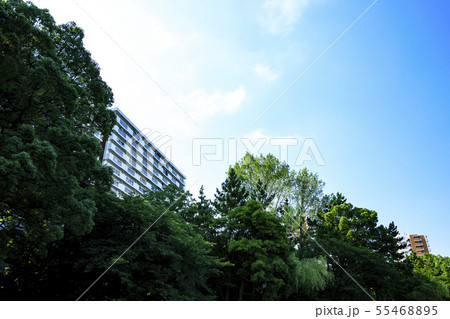 八潮団地(夏) 八潮団地(夏) 55468895