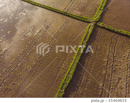 Rice Terrace Aerial Shot. Image of beautiful terrace rice field 55469655