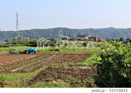 武蔵引田駅のホームから 武蔵引田駅のホームから 55470843