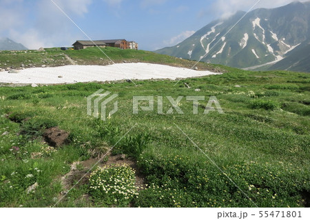 8月に雪が残る立山・室堂平と室堂小屋 55471801