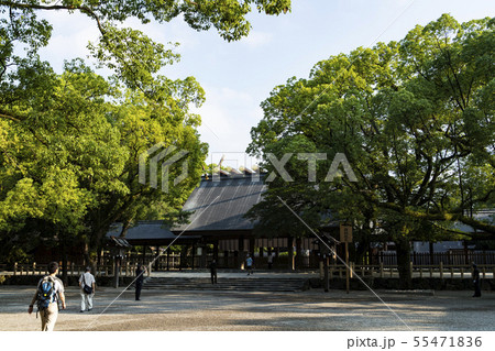 熱田神宮　神社　参拝　 55471836