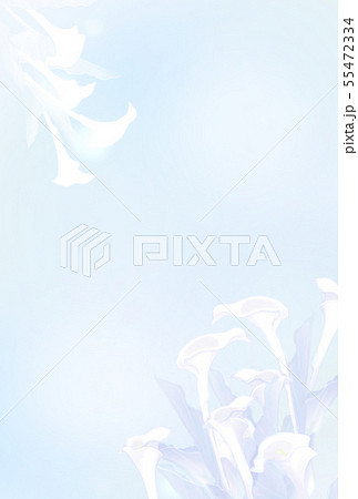 喪中はがき カラーの花のイラスト素材