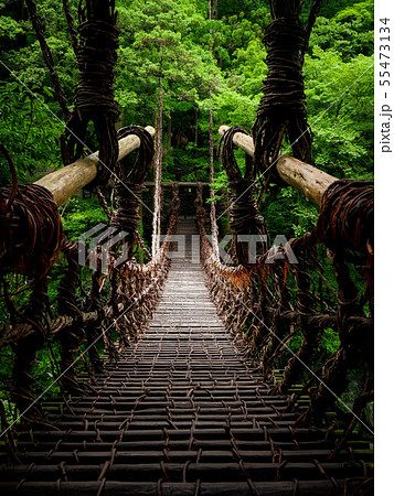 夏の祖谷かずら橋 55473134