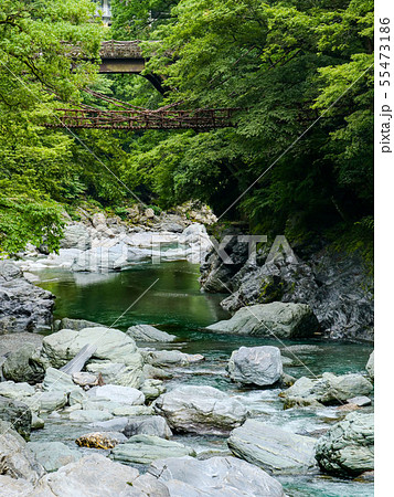 清流と祖谷かずら橋 55473186