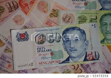 シンガポールドル通貨 55473559
