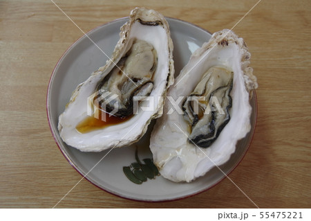 松島の牡蠣 55475221