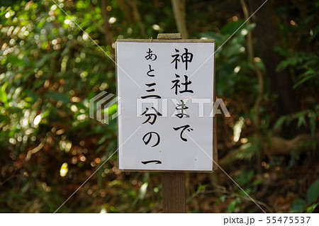 淡島神社の参道より 淡島神社の参道より 55475537