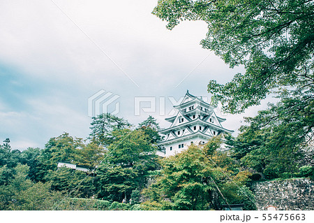 郡上八幡城 55475663