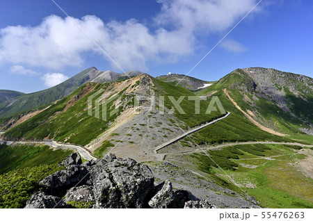 夏の乗鞍 大黒岳からの眺望（撮影地：乗鞍、大黒岳） 55476263