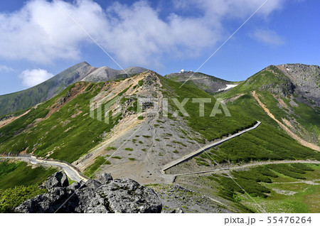 夏の乗鞍 大黒岳からの眺望（撮影地：乗鞍、大黒岳） 55476264