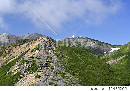 夏の乗鞍 大黒岳からの眺望（撮影地：乗鞍、大黒岳） 55476266