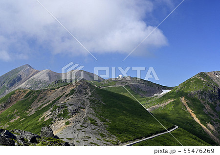 夏の乗鞍 大黒岳からの眺望（撮影地：乗鞍、大黒岳） 55476269