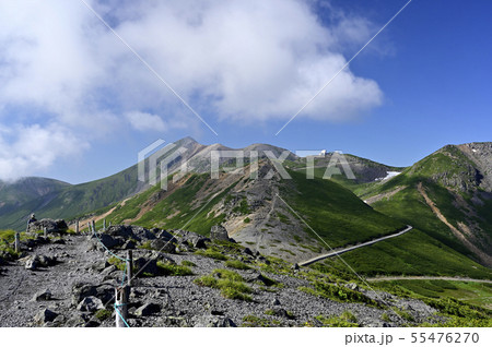 夏の乗鞍 大黒岳からの眺望（撮影地：乗鞍、大黒岳） 55476270