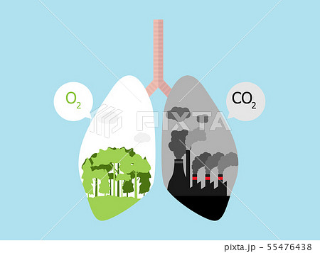 lung cancer with green tree forest and factory 55476438