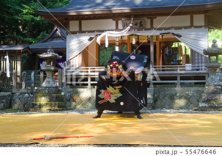 上野の獅子舞　剣の舞（和歌山県指定　無形民俗文化財　富里　春日神社） 55476646