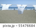 高知のティーシャツアート展 55476684