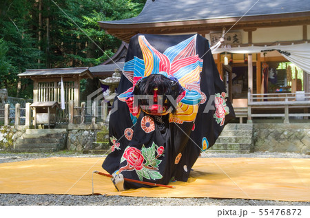 上野の獅子舞　剣の舞（和歌山県指定　無形民俗文化財　富里　春日神社） 55476872