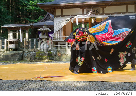 上野の獅子舞 剣の舞(和歌山県指定 無形民俗文化財 富里 春日神社) 上野の獅子舞 剣の舞(和歌山県指定 無形民俗文化財 富里 春日神社) 55476873